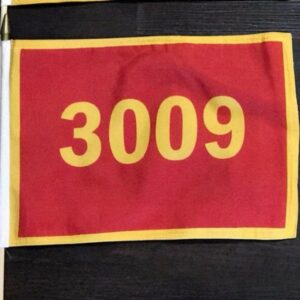 3rd Battalion Guidons